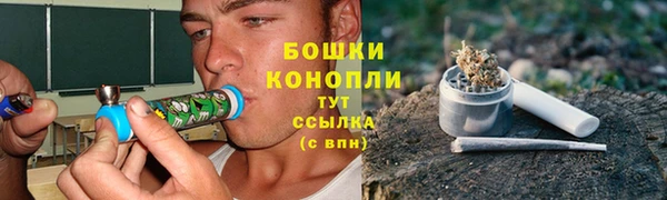прущий лед Белокуриха