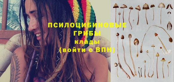 стафф Баксан