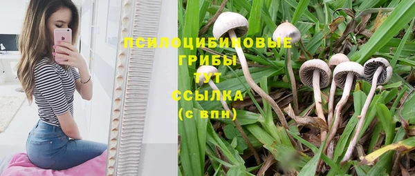 каннабис Беломорск