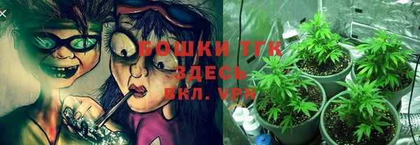 прущий лед Белокуриха