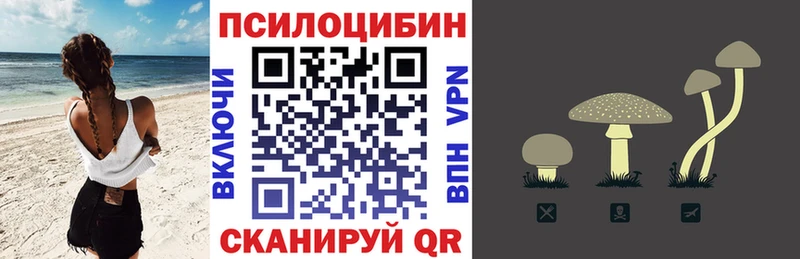 Псилоцибиновые грибы мицелий  Отрадное 